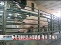 20120320公視晚間新聞 陳揆：檢討禽流感疏失 政院將究責.mpg