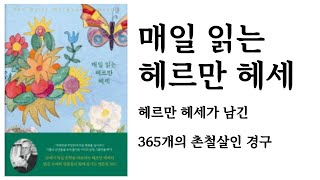 매일 읽는 헤르만 헤세 / 헤르만 헤세 / 니케북스