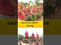 ନଟନାଗର ପାଇଁ ଏସବୁ ନୃତ୍ୟ ନାଚିନାଚି ଭାବବିନୋଦିଆଙ୍କୁ କରିବୁ ବିମୋହିତ... shorts