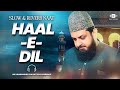 Haal e Dil - Zohaib Ashrafi - New Heart Touching Naat - Slowed + Reverb - Naat Revibe