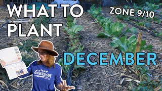 Top Crops to Plant in December