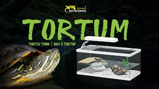 Unboxing and installation TORTUM – Terratlantis Terrarium (by Aquatlantis)