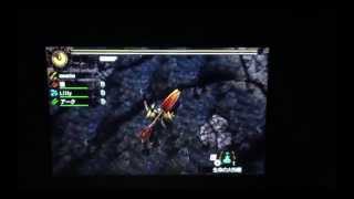 MH4G Bracchy Variant Gameplay