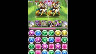 【パズドラ】落雷・キルア=ゾルディック　アンケートダンジョン９　上級　周回用