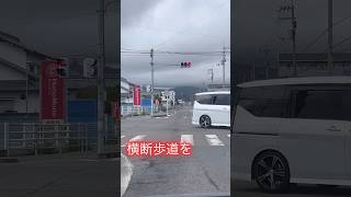 青信号を渡る鳥【元国際線CAで海賊の末裔】#shorts #横断歩道