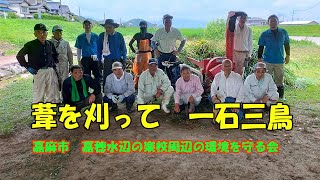 草刈り　2021葦の利活用