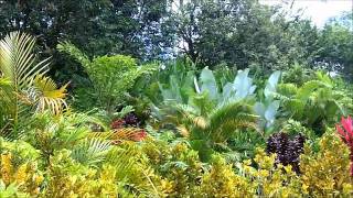 The lush tropical gardens at The Villa Hermosa