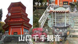 狭山湖の近くにある「山口千手観音」です。見るところがあり自然や建築など散歩するには良い場所と思います。