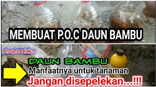 CARA MEMBUAT PUPUK ORGANIK CAIR  DAUN BAMBU !! MANFAAT DAUN BAMBU UNTUK TANAMAN !!