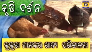 Kukuda manaka khadya parichalana // କୁକୁଡ଼ାମାନଙ୍କର ଖାଦ୍ୟ ପରିଚାଳନା // କୃଷି ଦର୍ଶନ