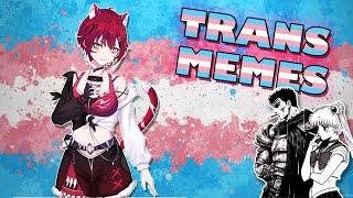Trans Memes to battle dysphoria 🏳️‍⚧️ | r/trans2 r/egg_irl r/transbians