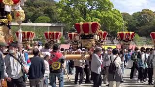 令和5年4月16日阿万亀岡八幡宮春季例大祭⛩伊賀野だんじり、唄が終わり定位置へ