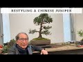 Restyling A Chinese Juniper