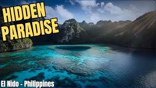 Discovering Hidden Gems in the Philippines' Waters!