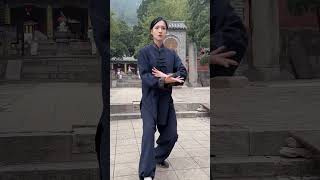 难使人心服，习武先习德太极拳 武术 太极