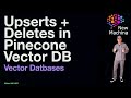 Upserts + Deletes in Pinecone Vector DB