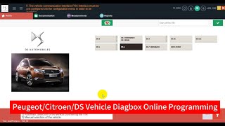 Lexia3 PP2000 Diagbox Online Programming Account Remote Login Service For Peugeot/Citroen/DS