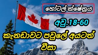 කැනඩාවට පවුලේ අයටත් වීසා. හෝටල් ක්ෂේත්‍රය. සුදුසුකම් එපා hotel foreign job vacancies in canada free