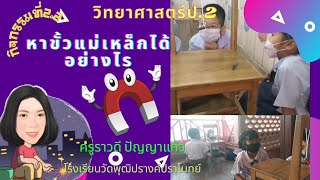 กิจกรรมที่​ 2.2​ หาขั้วแม่เหล็กได้อย่างไร​ #แรงในชีวิตประจำวัน​  #วิทยาศาสตร์​ ป.3