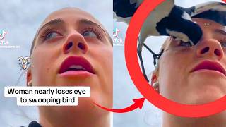 MOST EPIC ABRUPT CHAOS MOMENTS CAUGHT ON CAMERA *.* Pt. 13