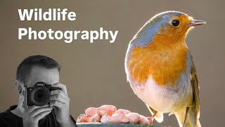 Wildlife Photography - POV relaxing 😍❤️🫶📷