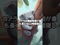 動物雑学！動物の驚きの事実と面白い行動！ shorts フラミンゴ ゴリラ ラッコ コアラ ゾウ 動物雑学 動物の秘密 驚きの事実 動物行動