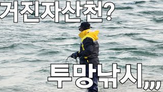 전어 300마리 한투망 어찌 이런일이#바다투망