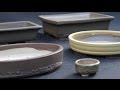 Bonsai pots