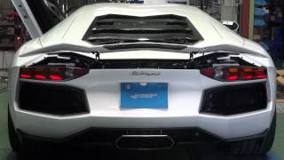 Lamborghini Aventador J-WOLF EXHAUST SOUND