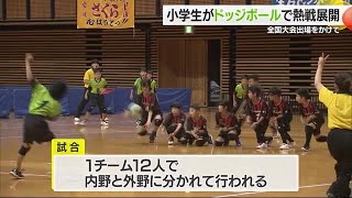 全国大会目指して小学生がドッジボールで大熱戦【愛媛】 (24/06/22 16:00)