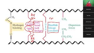 CHEM 1330 - 02.17.2025 - pt2