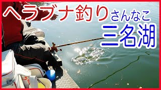 ヘラぶな釣り三名湖#冬のヘラブナ釣り#群馬県藤岡市三名湖#Why do Japanese people release the fish they catch back into the lake?