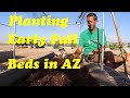 Amazing Soil Life With Daikon | Planting Early Fall Beds in AZ