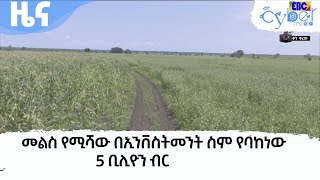 መልስ የሚሻው በኢንቨስትመንት ስም የባከነው 5 ቢሊዮን ብር  Etv | Ethiopia | News