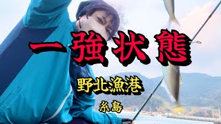 【冬の糸島で一強状態の漁港】相変わらずのアジ溜まり具合に驚愕‼️1月の野北漁港で無限サビキ！やっぱりいつ来ても鉄板漁港でした。 #182 福岡釣部 in 福岡・糸島・佐賀・玄界