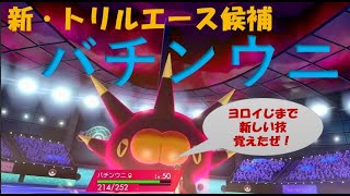 【ポケモン剣盾ダブルバトル】トリックルームの新エース！バチンウニ！鎧の孤島で強化されました。新技習得。