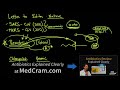 coronavirus epidemic update 11 antiviral drugs treatment trials for ncov remdesivir chloroquine