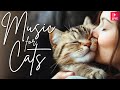 Music For Cats - Relaxing Sleep Sounds for Cats - 24/7 Non-Step Cat Music