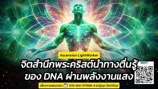 ✨จิตสำนึกพระคริสต์นำทางสู่การเลื่อนระดับการตื่นรู้ DNA ผ่านพลังงานแสงอาทิตย์✨ Ascension LightWorkers