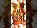 Tirumalavasa Sri Venkateshawara Govinda #devotionalsongs #viralvideo