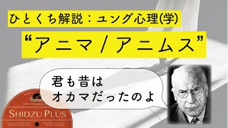 ひとくち解説「アニマとアニムス」：ユング心理学