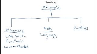 Tree Map