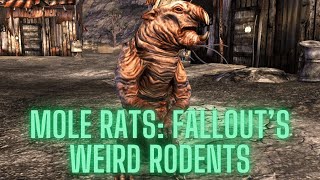 The Science of Fallout: Mole Rats, Fallout's Weird Rodents