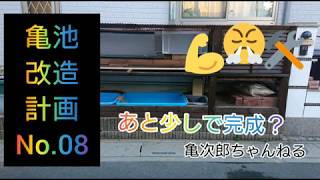 【亀池作り】クサガメ用の亀池作り、本当に出来るの？ 一番の問題は奥様の監視🤔