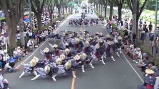 [かつみ]　彩夏祭2013　8月4日　公園通り南会場3回目