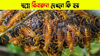 স্বপ্নে ভিমরুল দেখলে কি হয় | স্বপ্নে মৌচাক দেখলে কি হয় | স্বপ্নে ভিমরুল ধাওয়া করলে কি হয়