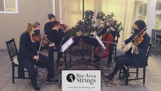 Merry Go Round of Life (from 'Howl's Moving Castle') ~ Bay Area Strings