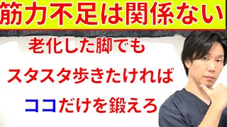 ここだけを動かせば筋トレしなくても死ぬまで自分の脚で歩ける理由と実践法!