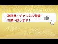 【徳川四天王の 地獄飲み会】酒井忠次 本多忠勝 榊原康政 井伊直政