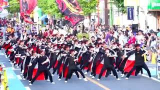 朝霞鳴子一族 め組　in　浦和よさこい　2016